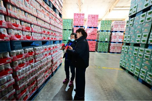 食安在沈北 幸福過大年